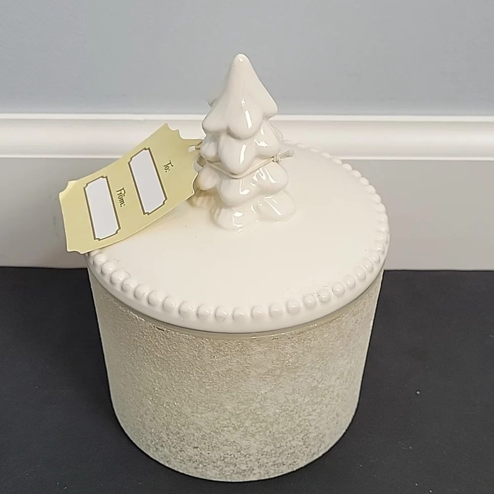 Pier 1 Imports holiday forest candle ivory frosted